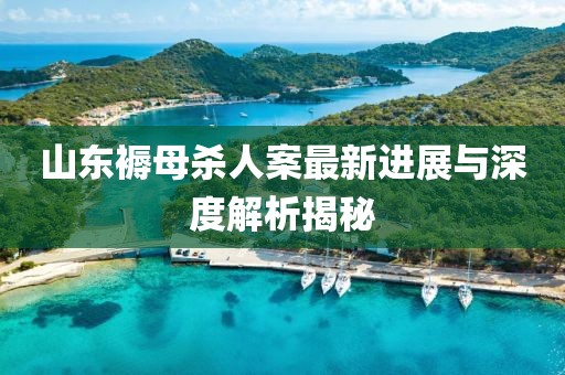 山東褥母殺人案最新進展與深度解析揭秘
