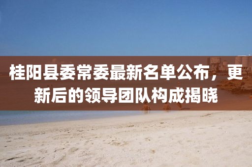 桂陽(yáng)縣委常委最新名單公布，更新后的領(lǐng)導(dǎo)團(tuán)隊(duì)構(gòu)成揭曉