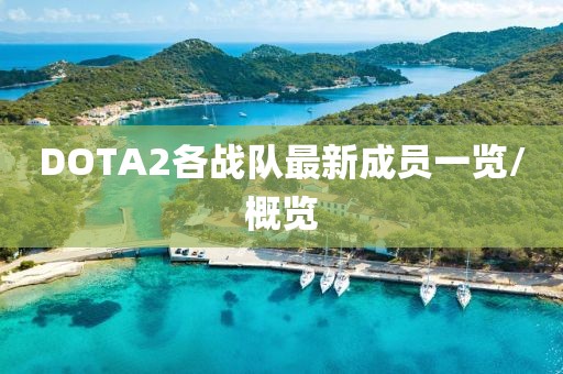 DOTA2各戰(zhàn)隊(duì)最新成員一覽/概覽