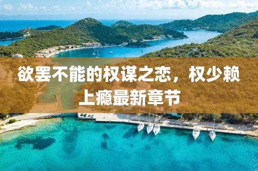 欲罷不能的權謀之戀，權少賴上癮最新章節(jié)