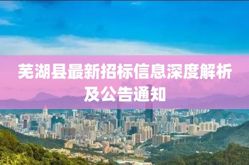 蕪湖縣最新招標(biāo)信息深度解析及公告通知