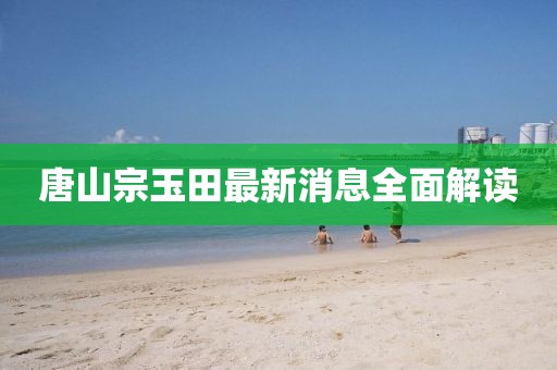 唐山宗玉田最新消息全面解讀