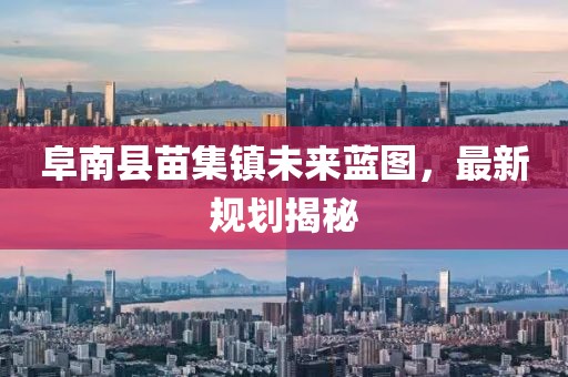 阜南縣苗集鎮(zhèn)未來藍圖，最新規(guī)劃揭秘