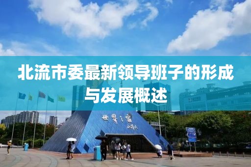 北流市委最新領(lǐng)導(dǎo)班子的形成與發(fā)展概述