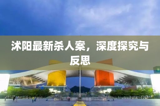 沭陽(yáng)最新殺人案，深度探究與反思