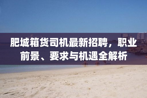 肥城箱貨司機最新招聘，職業(yè)前景、要求與機遇全解析