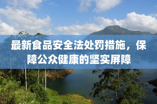 最新食品安全法處罰措施，保障公眾健康的堅(jiān)實(shí)屏障