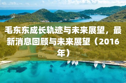 毛東東成長軌跡與未來展望，最新消息回顧與未來展望（2016年）