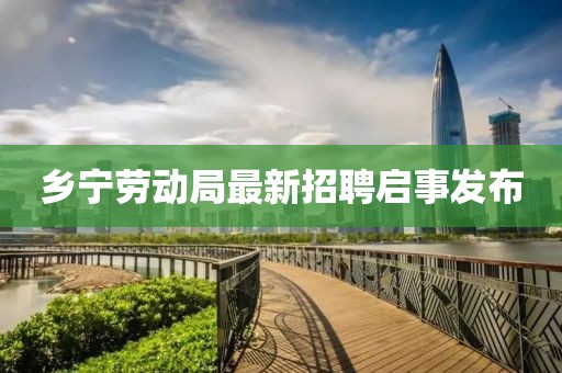 鄉(xiāng)寧勞動局最新招聘啟事發(fā)布