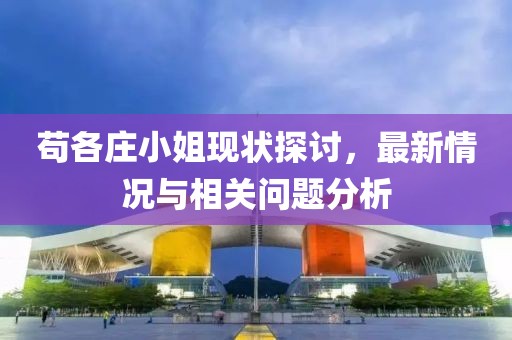 茍各莊小姐現(xiàn)狀探討，最新情況與相關(guān)問題分析