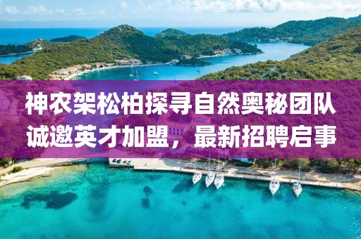 神農架松柏探尋自然奧秘團隊誠邀英才加盟，最新招聘啟事