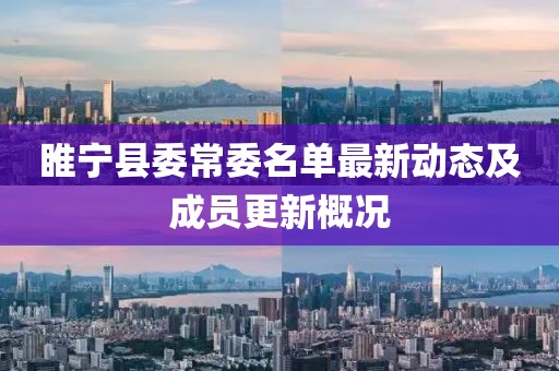 睢寧縣委常委名單最新動態(tài)及成員更新概況