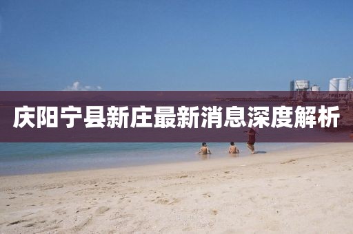 慶陽(yáng)寧縣新莊最新消息深度解析