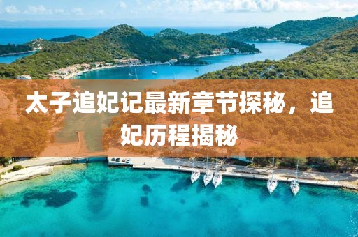太子追妃記最新章節(jié)探秘，追妃歷程揭秘