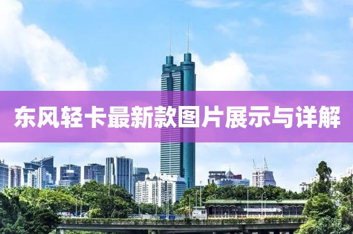 東風(fēng)輕卡最新款圖片展示與詳解