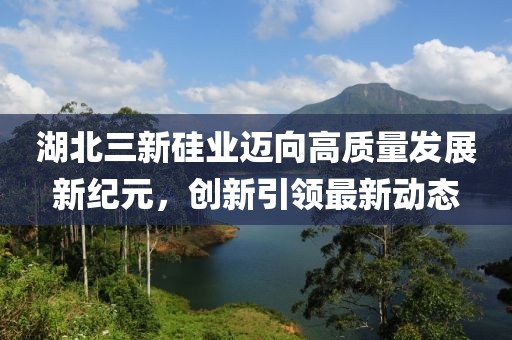 湖北三新硅業(yè)邁向高質(zhì)量發(fā)展新紀(jì)元，創(chuàng)新引領(lǐng)最新動(dòng)態(tài)