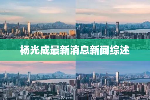 楊光成最新消息新聞綜述