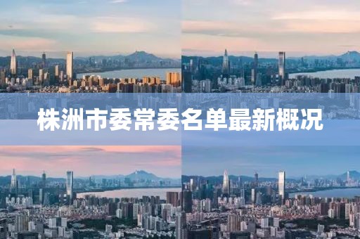株洲市委常委名單最新概況
