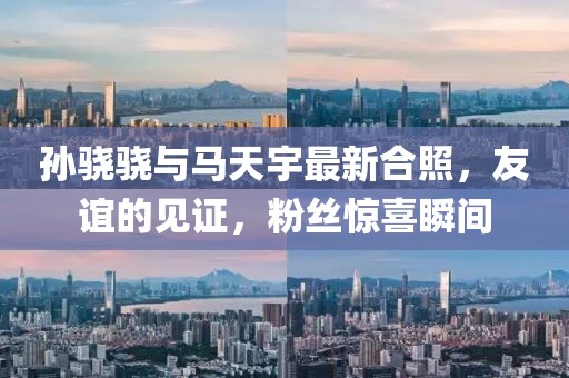 孫驍驍與馬天宇最新合照，友誼的見證，粉絲驚喜瞬間