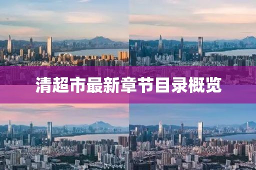 清超市最新章節(jié)目錄概覽