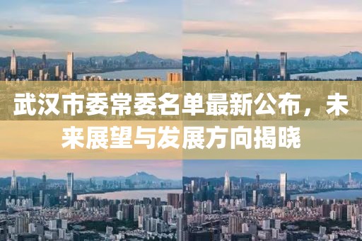 武漢市委常委名單最新公布，未來(lái)展望與發(fā)展方向揭曉