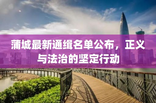 蒲城最新通緝名單公布，正義與法治的堅定行動