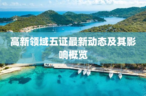 高新領(lǐng)域五證最新動(dòng)態(tài)及其影響概覽
