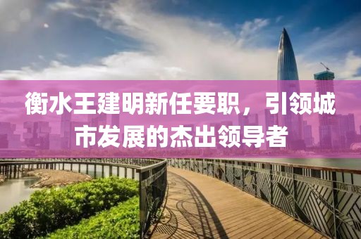 衡水王建明新任要職，引領(lǐng)城市發(fā)展的杰出領(lǐng)導者