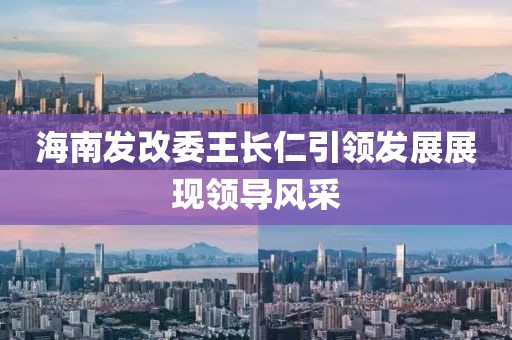 海南發(fā)改委王長仁引領(lǐng)發(fā)展展現(xiàn)領(lǐng)導(dǎo)風(fēng)采