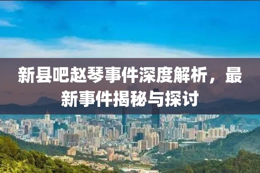 新縣吧趙琴事件深度解析，最新事件揭秘與探討