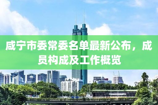咸寧市委常委名單最新公布，成員構(gòu)成及工作概覽