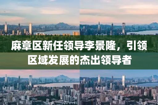 麻章區(qū)新任領(lǐng)導(dǎo)李景隆，引領(lǐng)區(qū)域發(fā)展的杰出領(lǐng)導(dǎo)者