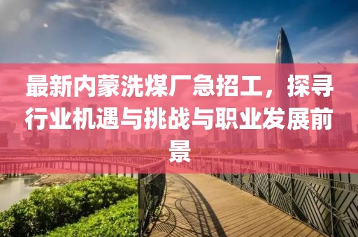 最新內(nèi)蒙洗煤廠急招工，探尋行業(yè)機遇與挑戰(zhàn)與職業(yè)發(fā)展前景