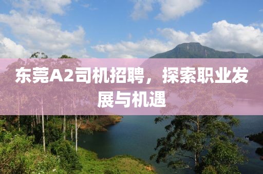 東莞A2司機(jī)招聘，探索職業(yè)發(fā)展與機(jī)遇