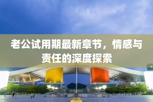 老公試用期最新章節(jié)，情感與責(zé)任的深度探索