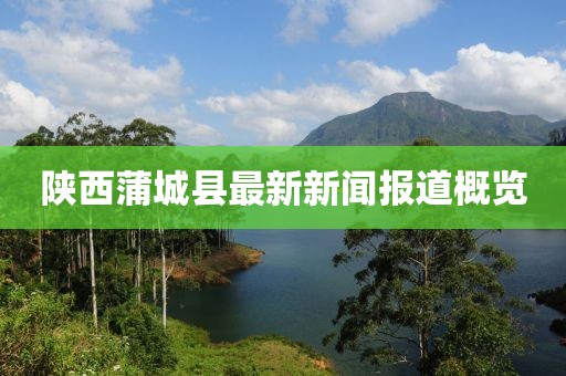 陜西蒲城縣最新新聞報道概覽