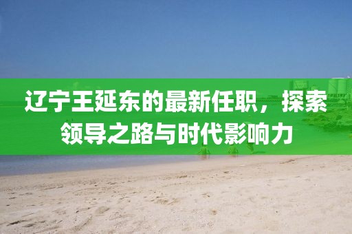 遼寧王延東的最新任職，探索領導之路與時代影響力