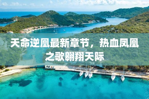 天命逆凰最新章節(jié)，熱血鳳凰之歌翱翔天際