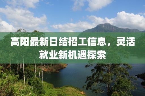 高陽最新日結(jié)招工信息，靈活就業(yè)新機(jī)遇探索