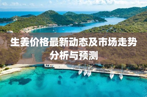 生姜價(jià)格最新動(dòng)態(tài)及市場(chǎng)走勢(shì)分析與預(yù)測(cè)