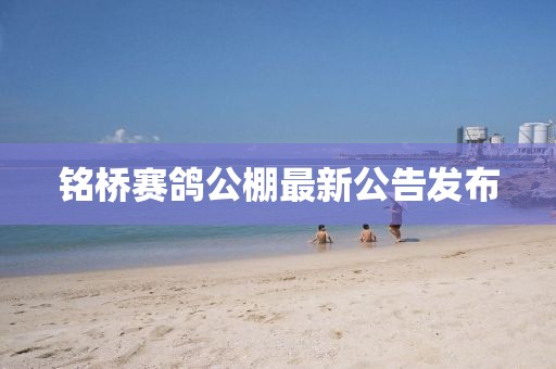 甜心少女 第20頁