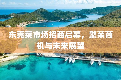 東莞菜市場招商啟幕，繁榮商機與未來展望