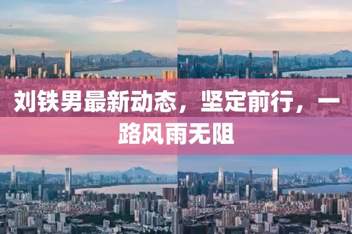 劉鐵男最新動態(tài)，堅定前行，一路風(fēng)雨無阻