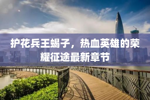 護(hù)花兵王蝎子，熱血英雄的榮耀征途最新章節(jié)