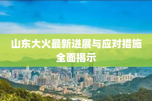 山東大火最新進展與應對措施全面揭示