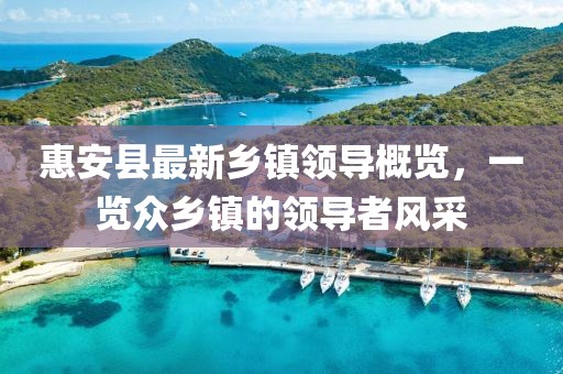 惠安縣最新鄉(xiāng)鎮(zhèn)領導概覽，一覽眾鄉(xiāng)鎮(zhèn)的領導者風采