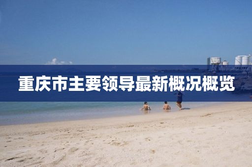 重慶市主要領導最新概況概覽