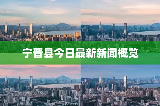 寧晉縣今日最新新聞概覽