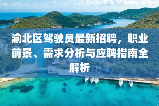 渝北區(qū)駕駛員最新招聘，職業(yè)前景、需求分析與應(yīng)聘指南全解析