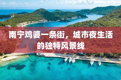 南寧雞婆一條街，城市夜生活的獨特風(fēng)景線